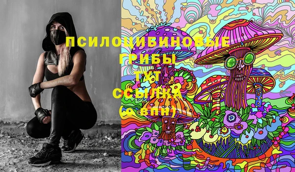 гашик Верхний Тагил
