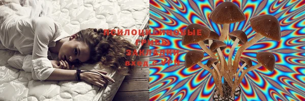 гашик Верхний Тагил